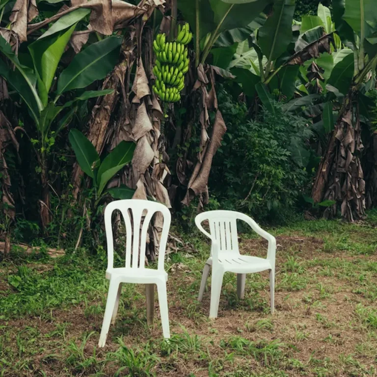 Sillas blancas de plástico
