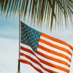 bandera de estados unidos entre palmas