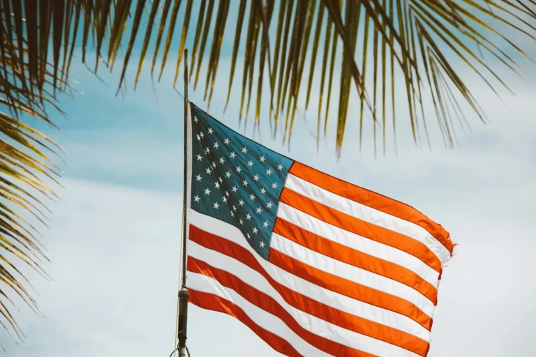 bandera de estados unidos entre palmas