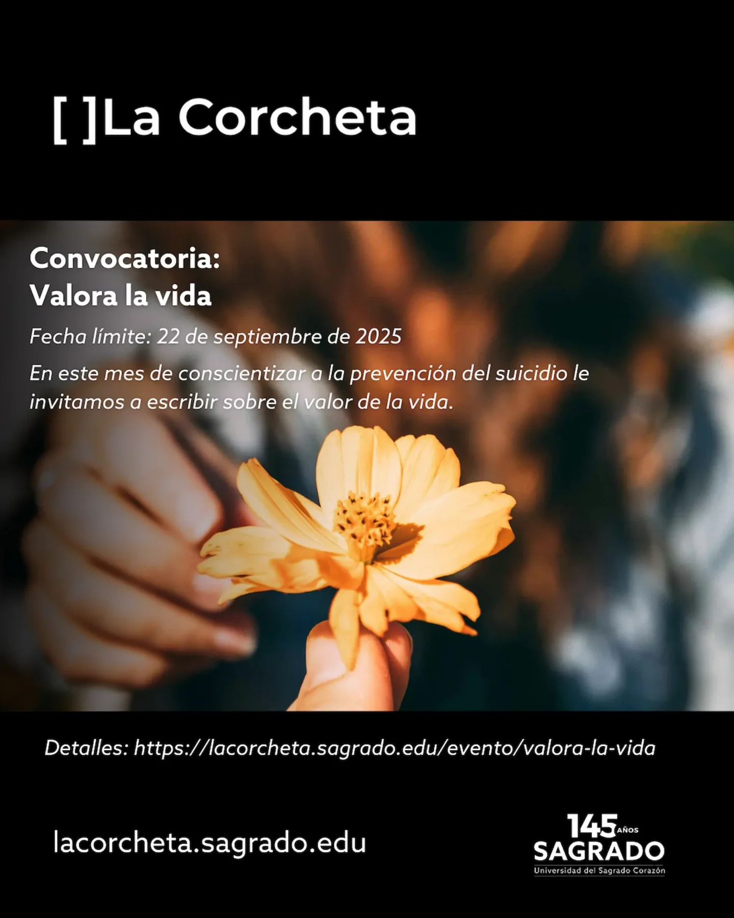 Afiche de convocatoria valora la vida